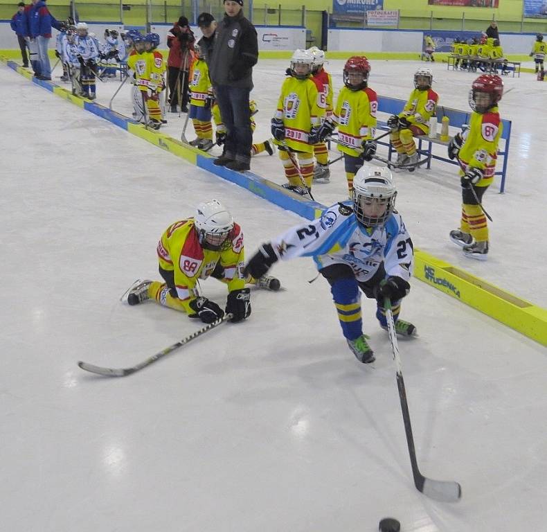 Zimní stadion ve Studénce  obsadili o víkendu mladí hokejisté, kteří soupeřili na mezinárodním turnaji v minihokeji dětí roč- níku narození 2004 až 2006 Studénka cup 2013.