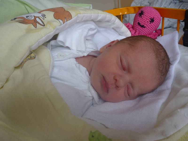 ELIŠKA VESELKOVÁ, Kopřivnice, nar. 1. 11. 2017, 50 cm, 3,25 kg. Nemocnice Nový Jičín.