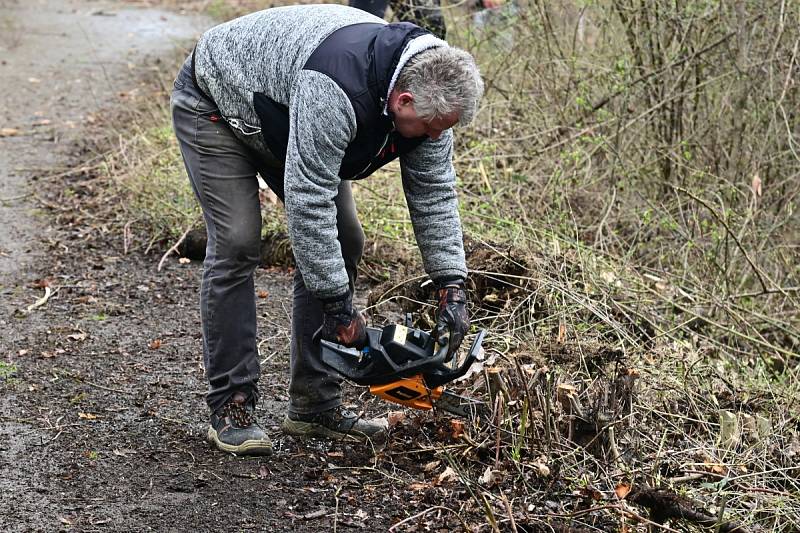 Likvidace náletových dřevin na hrázi Větřkovické přehrady u Kopřivnice