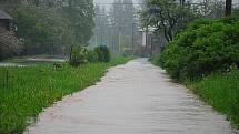 Bordovice, chodník - pondělí 17. května, dopoledne.