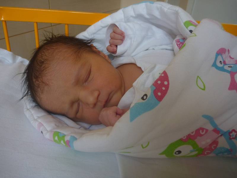 PATRIK ŠAMKO, Odry, nar. 1. 2. 2017, 50 cm, 3,20 kg. Nemocnice Nový Jičín.