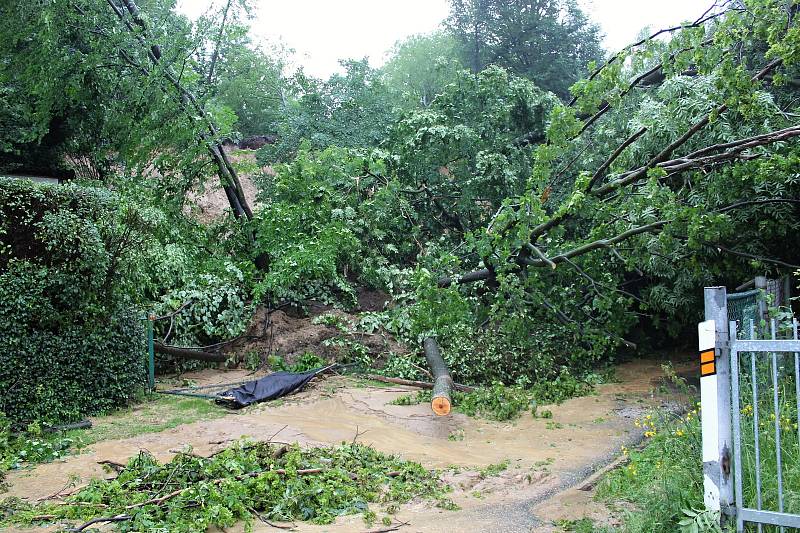 Stromy popadaly na dům pod svahem a s bahnem uzavřely průjezd silnicí z Lubiny na Mniší.