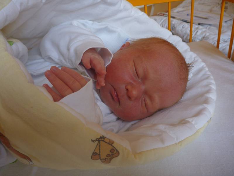 NELA CIGÁNKOVÁ, Studénka, nar. 24. 5. 2016, 49 cm, 3,35 kg. Nemocnice Nový Jičín.