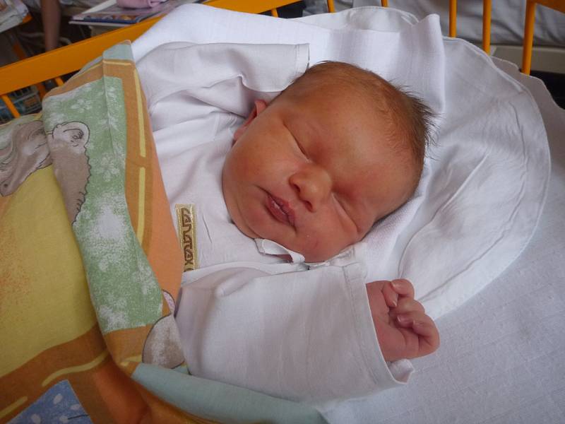 ALICE KESSLEROVÁ, Libhošť, nar. 4. 1. 2016, 47 cm, 3,45 kg. Nemocnice Nový Jičín.