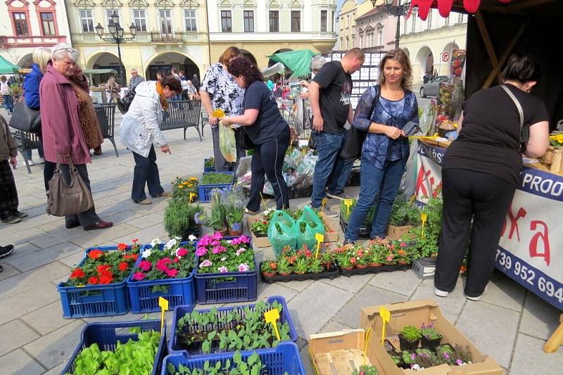 Tento víkend patřil jarmarkům. Už v pátek obsadili prodejci Masarykovo náměstí v Novém Jičíně. 