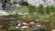 Arboretum a botanická zahrada ve Štramberku.