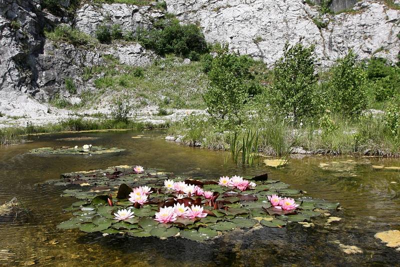 Arboretum a botanická zahrada ve Štramberku.