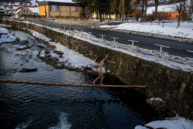 Tichavský tuleň, 29. ledna 2023, Tichá.