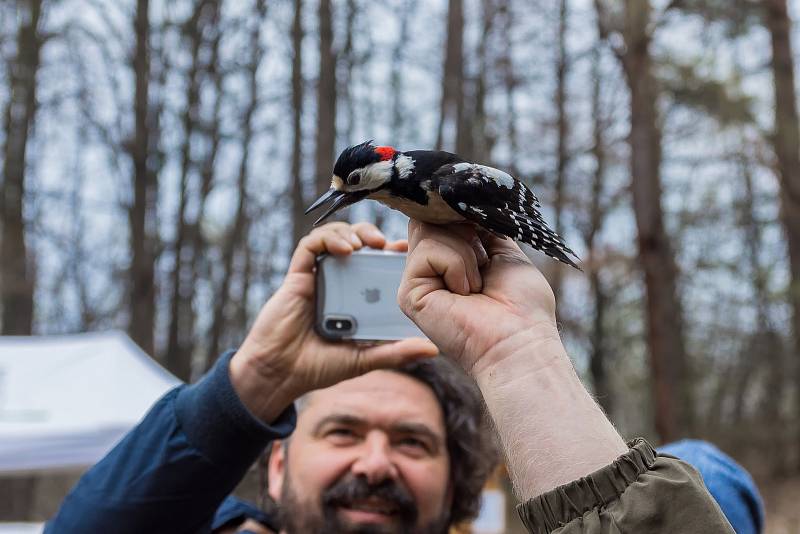 Loňské Vítání ptačího zpěvu na Horečkách na pomezí Trojanovic a Frenštátu pod Radhoštěm.