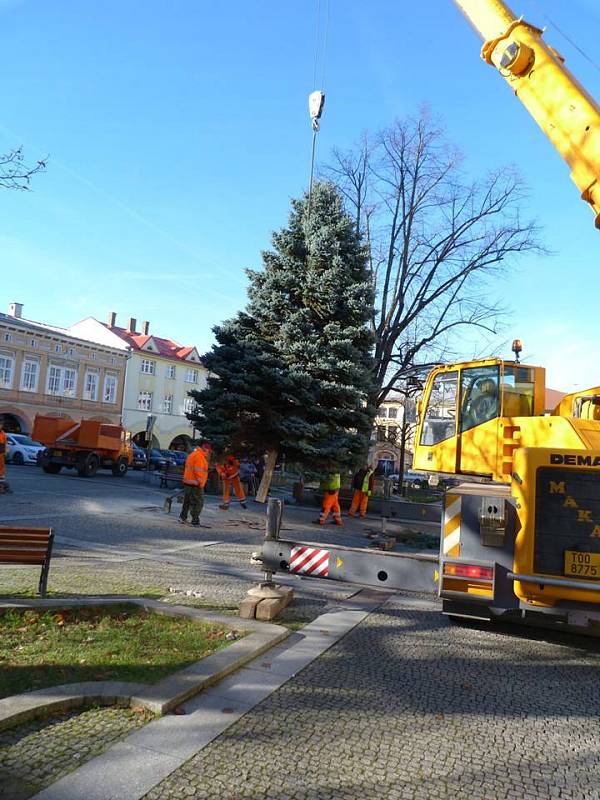 Vánoční strom ve Frenštátě pod Radhoštěm je letos o něco nižší, než jindy, ale je krásný.