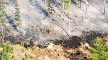 S velkým požárem lesa bojovali v neděli 29. dubna v podvečer hasiči z Oder, Nového Jičína a okolí v Dobešově, místní části Oder.