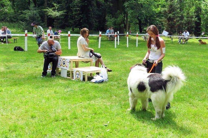 První ročník Královské voříškiády Sněženkového království se uskutečnil v sobotu 24. května v Sedlnicích.