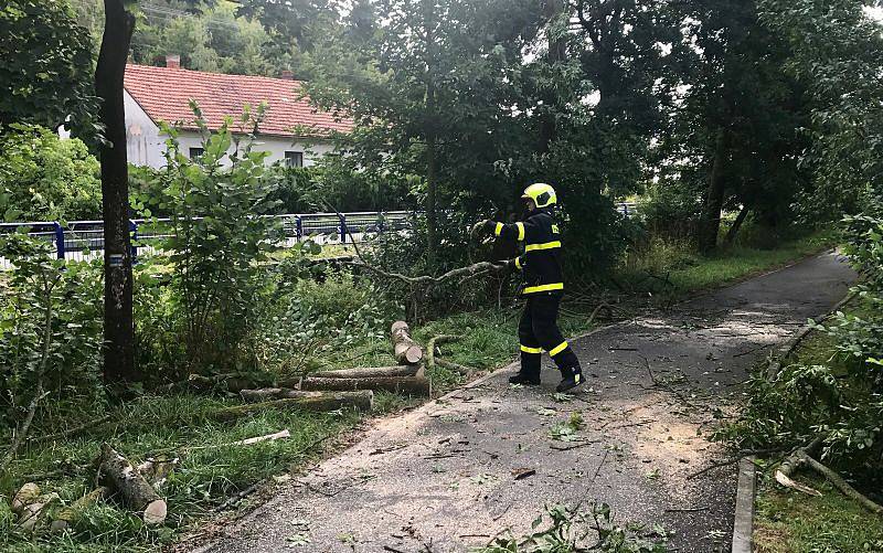 Na cyklostezce podél řeky Bílovky bránily cyklistům v projetí tři jasany.