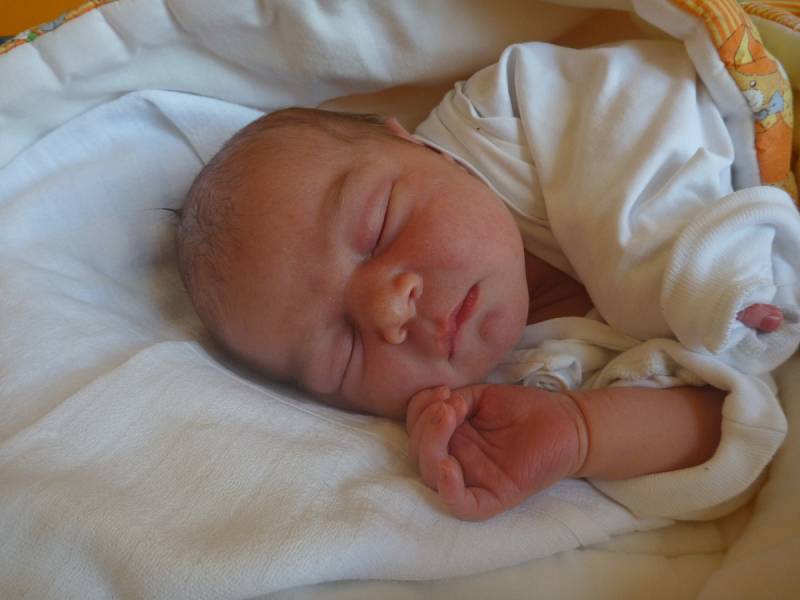 TEREZA KOŘÍNKOVÁ, Štramberk, nar. 14. 6. 2016, 51 cm, 3,53 kg. Nemocnice Nový Jičín.