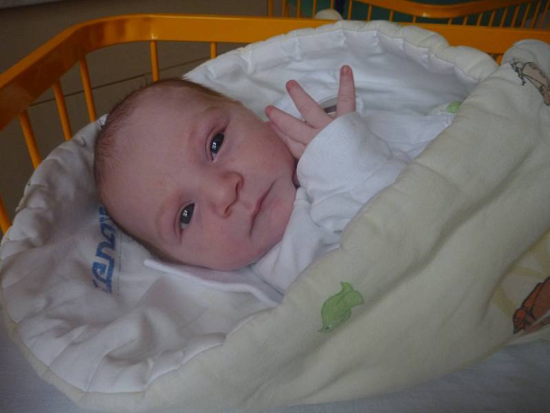 JIŘÍ HOŠŤÁLEK, Nový Jičín, nar. 2. 9. 2016, 49 cm, 3,15 kg. Nemocnice Nový Jičín.