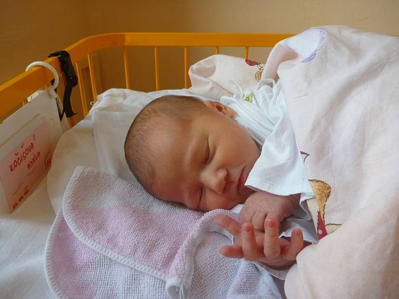 ADÉLA KOČIŠOVÁ, Nový Jičín, nar. 11. 11. 2012, 49 cm, 3,25 kg. Nemocnice Nový Jičín.