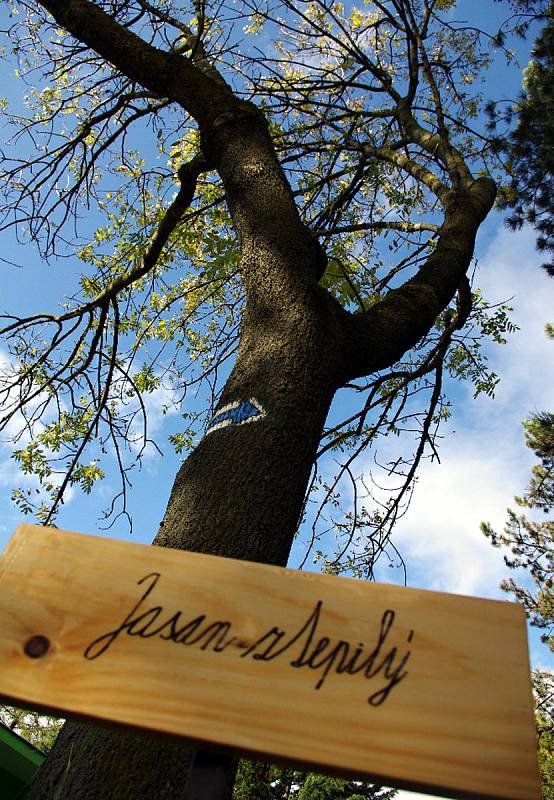 Ke Dni stromů vyrobili žáci ZŠ Tyršova 913 ve Frenštátě pod Radhoštěm cedulky, kterými označili stromy v parku.