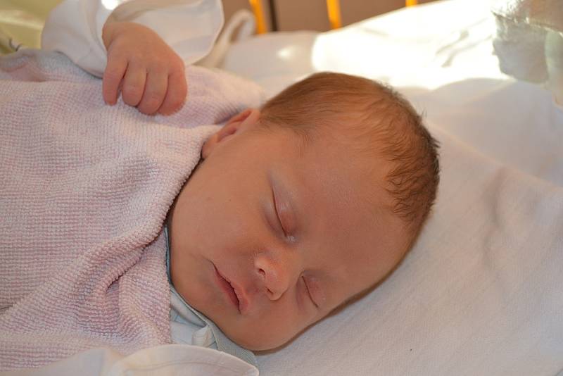 BÁRA BARFAJTOVÁ, Nový Jičín-Žilina, nar. 8. 3. 2012, 47 cm, 3,02 kg, nemocnice Nový Jičín.