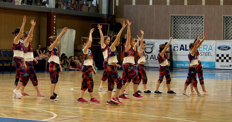 V sobotu 20. dubna se ve sportovní hale v Novém Jičíně konala taneční přehlídka Tanec Fokus.