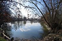 Bartošovice stojí za to navštívit, ať už kvůli zámku, rybníkům nebo vodnímu mlýnu.