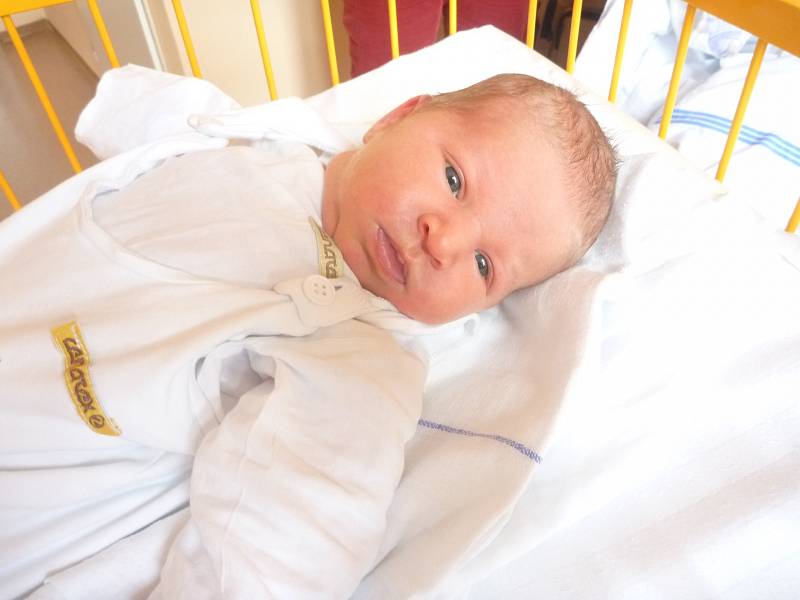 EVELIN KRESTOVÁ, Kopřivnice-Vlčovice, nar. 10. 5. 20185, 52 cm, 3,72 kg. Nemocnice Nový Jičín.