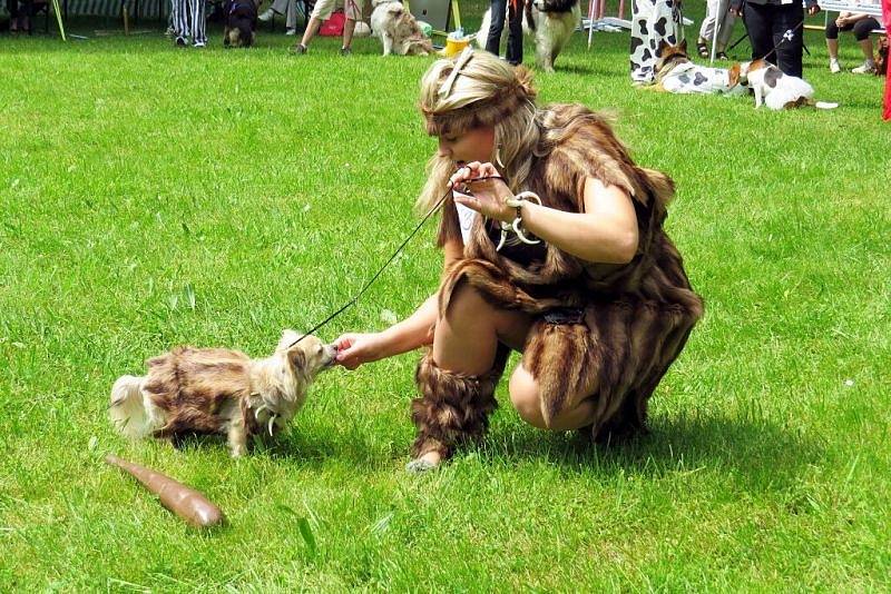 První ročník Královské voříškiády Sněženkového království se uskutečnil v sobotu 24. května v Sedlnicích.