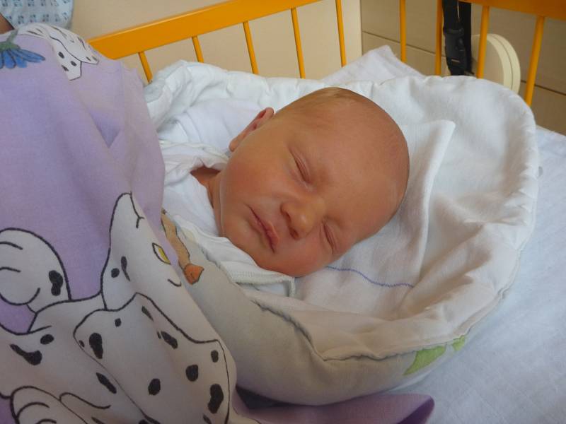 TOMÁŠ HORŇÁK, Kopřivnice, nar. 31. 1. 2016, 46 cm, 2,92 kg. Nemocnice Nový Jičín.