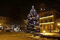 Vánoční strom na náměstí Míru ve Frenštátě pod Radhoštěm, prosinec 2023.