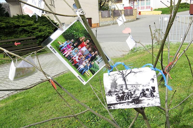 Mateřská škola v Bílově má 75. výročí. K svátku matek tam na zahradě "vyrostl" Láskovník.