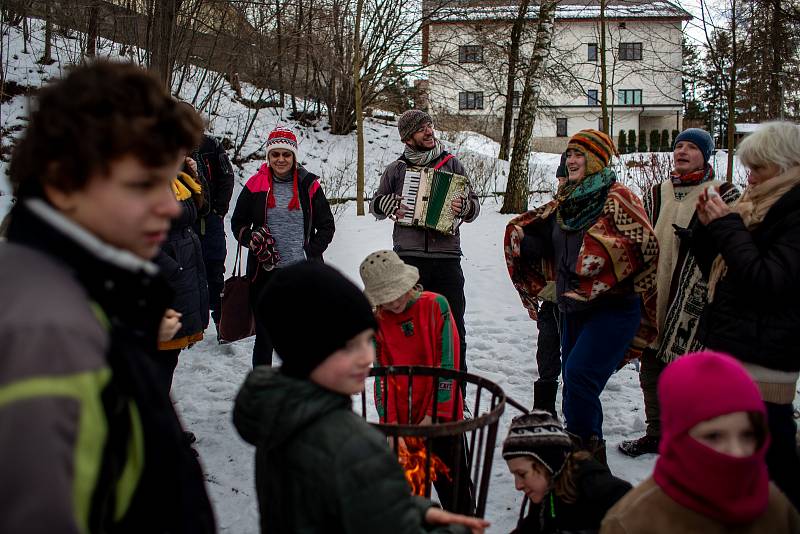 Tichavský tuleň, 29. ledna 2023, Tichá.