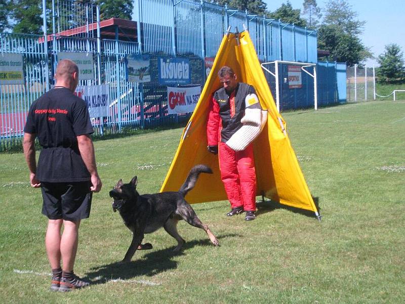 Suchdol nad Odrou. Ve třech disciplínách se vystřídá 45 psovodů se svými svěřenci.