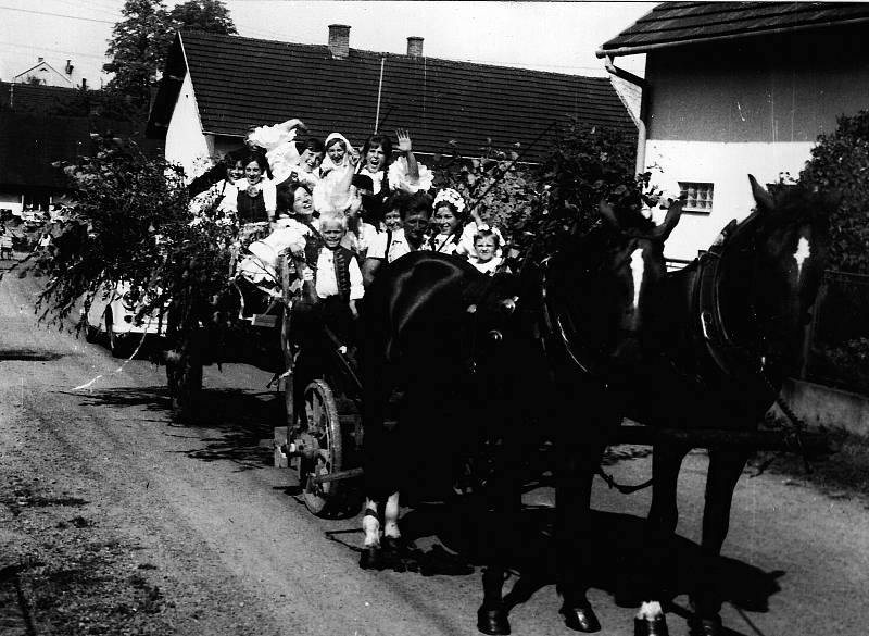 Valašská svatba jede Mořkovem na ozdobeném voze s koňmi směrem na koupaliště v roce 1971.