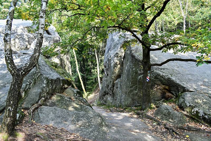 V těsném sousedství zříceniny hradu Lukov je naučná stezka Králky, do které také patří Přírodní památka skalního útvaru Králky.