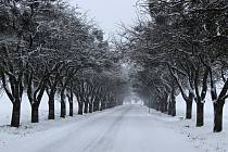 Krajinu mezi Starým Jičínem a Odrami zasypala v pondělí 12. prosince 2022 sněhová přikrývka.