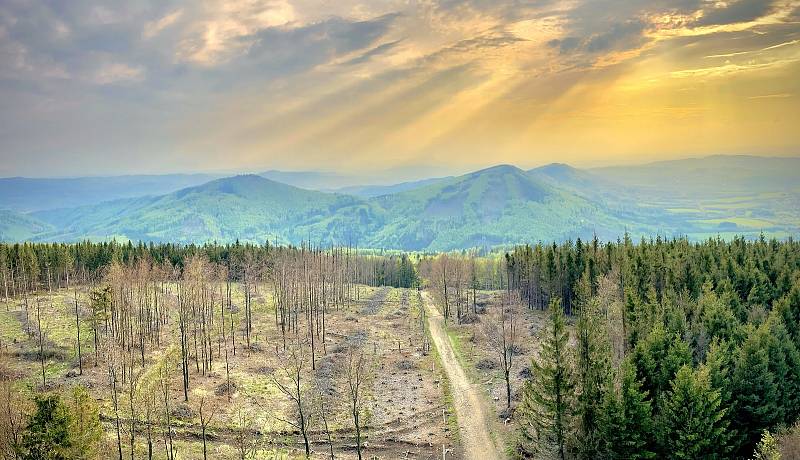 Velký Javorník, 917 m, Frenštát pod Radhoštěm, 8. května 2022