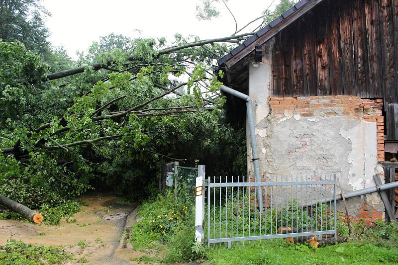 Stromy popadaly na dům pod svahem a s bahnem uzavřely průjezd silnicí z Lubiny na Mniší.