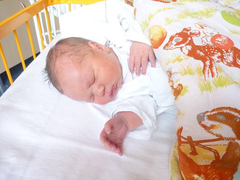 MICHAEL ŽÁRSKÝ, Příbor, nar. 19. 11. 2013, 53 cm, 4,25 kg. Nemocnice Nový Jičín.