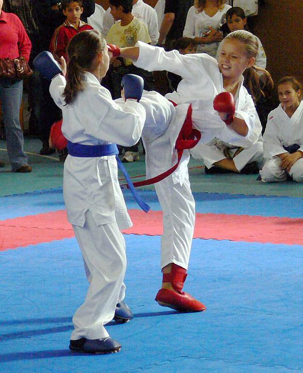 Mezinárodní turnaj karate, kterého se zúčastnily kluby z České republiky, Slovenska a Polska, patřil všem věkovým kategoriím.