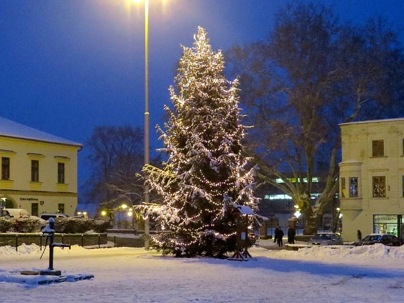 V Odrách občas mívají vánoční strom darovaný, ten letošní, který je na tamním Masarykově náměstí, pochází z jednoho z oderských městských lesů. Svými žlutými žárovkami krásně osvětluje okolí. 