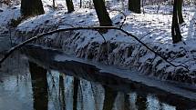 Mráz sevřel v noci z neděle na pondělí přírodu také na Odersku. 18. ledna 2021.