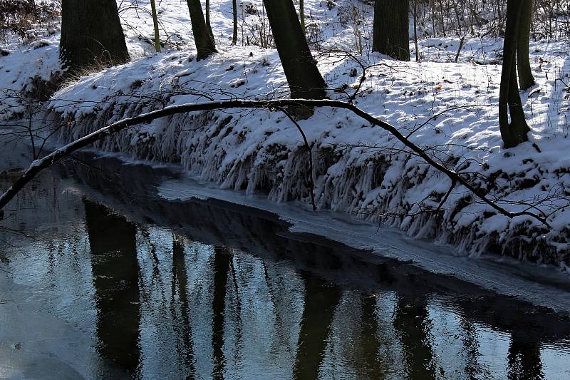 Mráz sevřel v noci z neděle na pondělí přírodu také na Odersku. 18. ledna 2021.