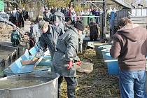 První velké vypouštění rybníka se o prvním listopadovém víkendu uskutečnilo v Bartošovicích. Druhý největší rybník v Moravskoslezském kraji se vypouštěl čtyři týdny. 