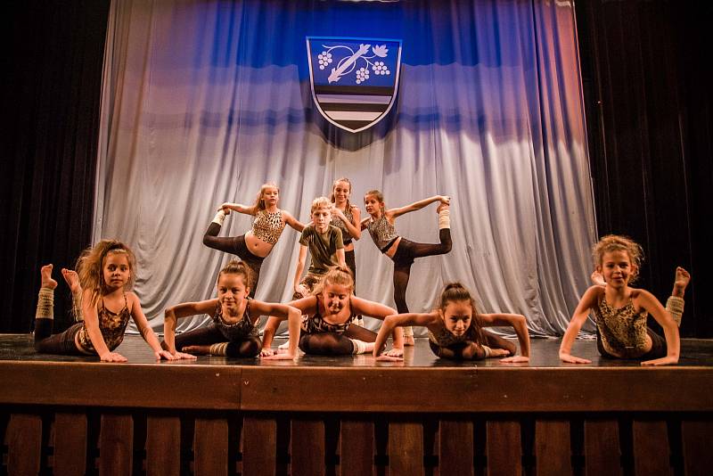 Žáci ZUŠ Dolní Bojanovice, Hodonín, Kyjov, Strážnice a Veselí nad Moravou předvedli své choreografie před zaplněným sálem s velkým úspěchem.