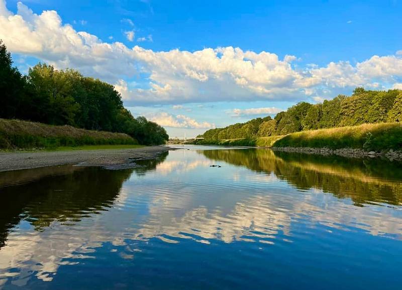 Příroda u řeky Moravy žije vlastním životem.