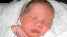 Sofie Gančarová, 55 cm, 4,15 kg, 12.8.2010, Milotice.