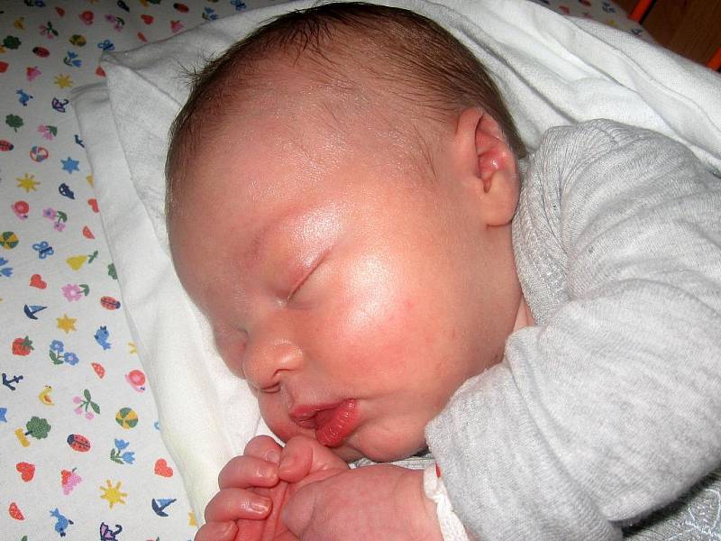 Tomáš Zemčík, 52 cm, 4,1 kg, 13.8.2010, Dubňany.