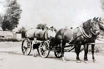 Otec paní M.B. pracoval v místním JZD jako vozka koní, které musel odevzdat při kolektivizaci družstev.