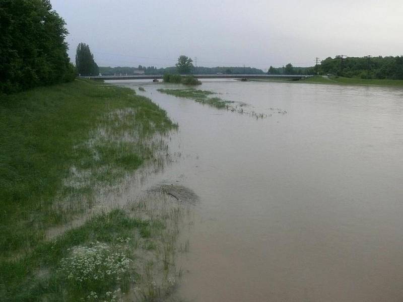 Rozvodněná Morava u Hodonína, úterý 18. května 2010