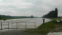 Rozvodněná Morava u Hodonína, úterý 18. května 2010
