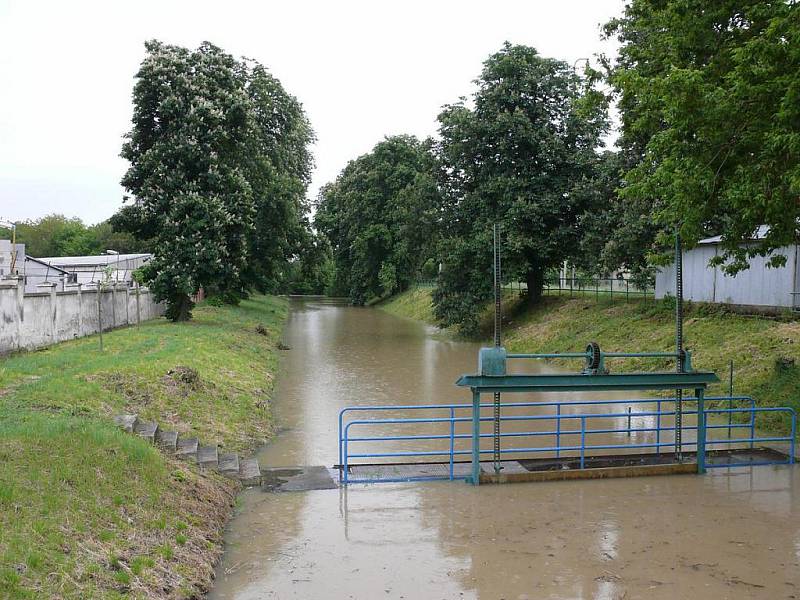 Rozvodněná Morava u Hodonína, úterý 18. května 2010